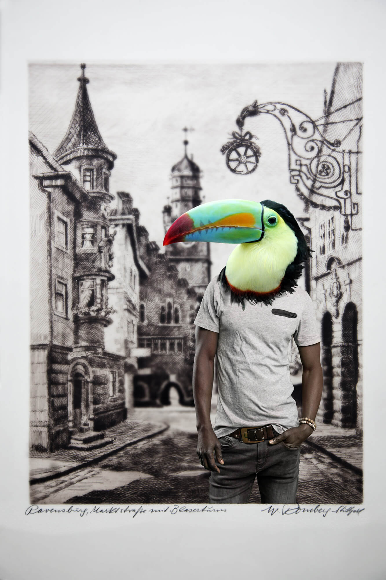 -Vögel-