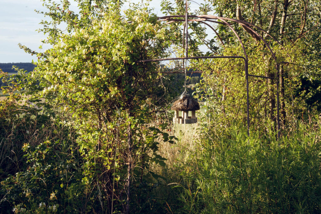 Dankesland-CasagrandaFoto-03